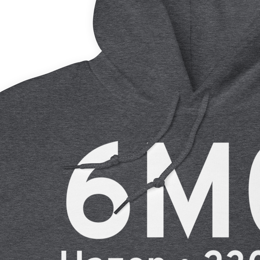 Hazen (K6M0) Airport Hoodie Sweatshirt 