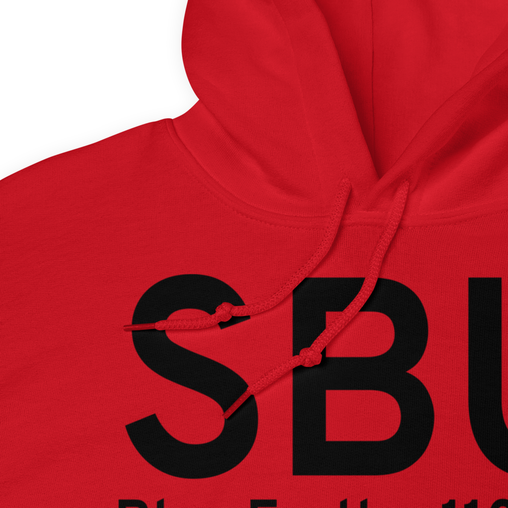 Blue Earth (KSBU) Airport Hoodie Sweatshirt 