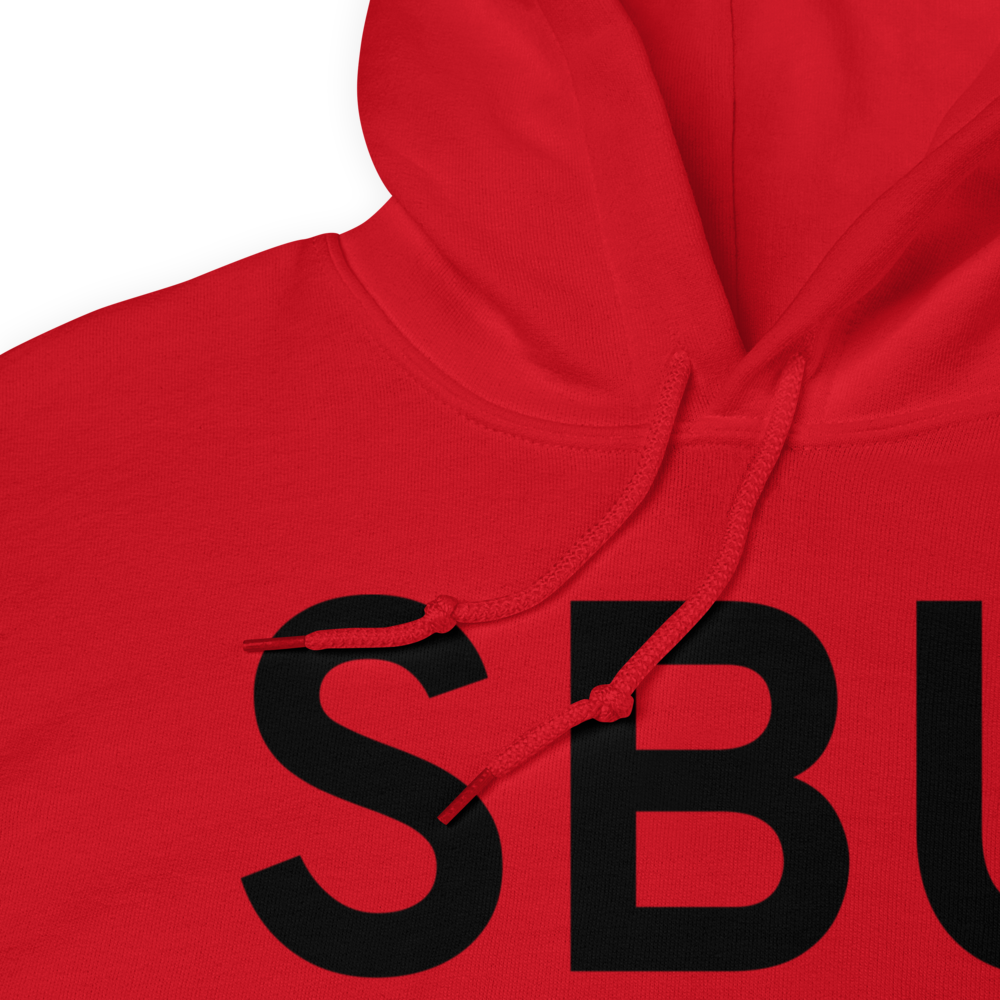Blue Earth (KSBU) Airport Hoodie Sweatshirt 