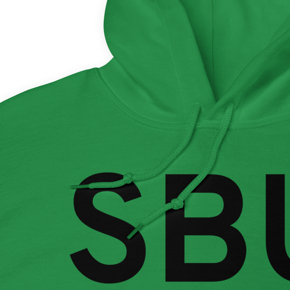 Blue Earth (KSBU) Airport Hoodie Sweatshirt 