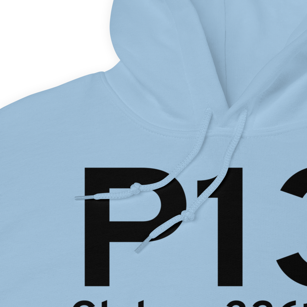 Globe (KP13) Airport Hoodie Sweatshirt 