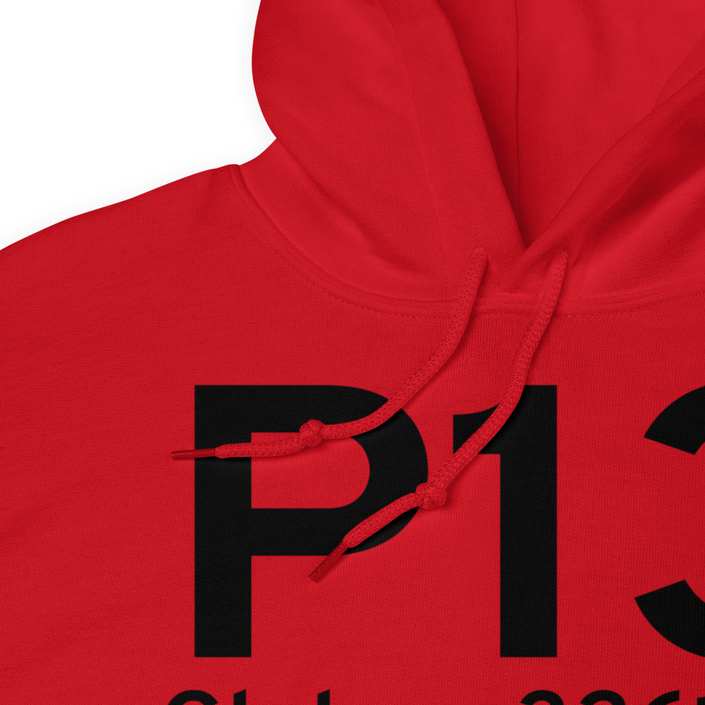 Globe (KP13) Airport Hoodie Sweatshirt 