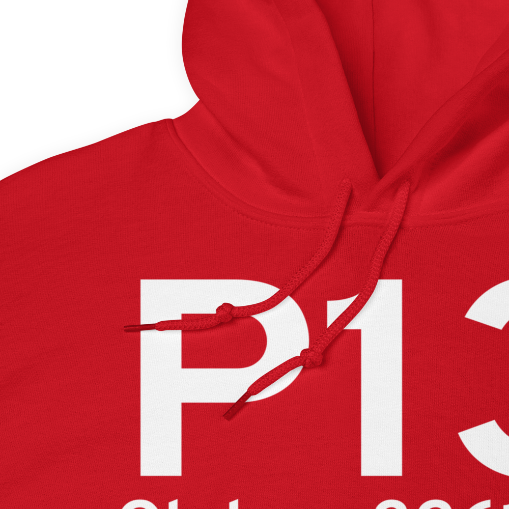 Globe (KP13) Airport Hoodie Sweatshirt 