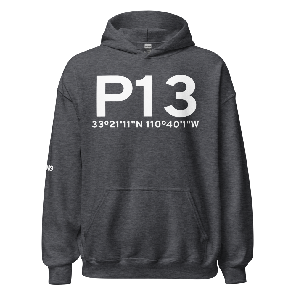 Globe (KP13) Airport Hoodie Sweatshirt 