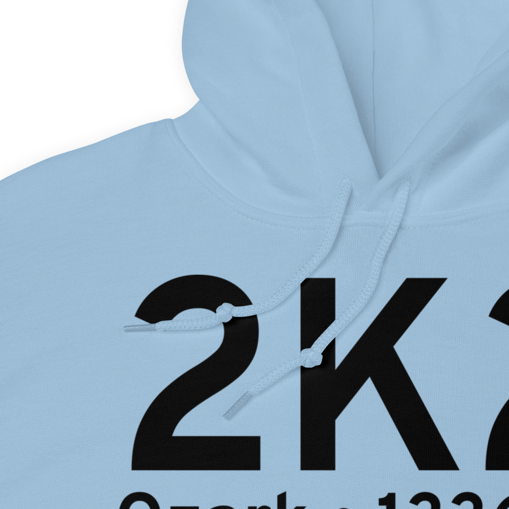 Ozark (2K2) Airport Hoodie Sweatshirt 