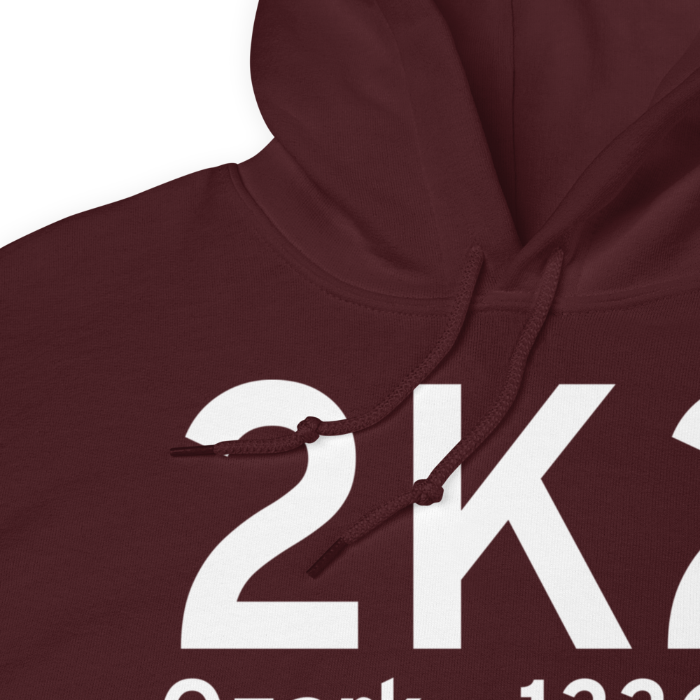 Ozark (2K2) Airport Hoodie Sweatshirt 