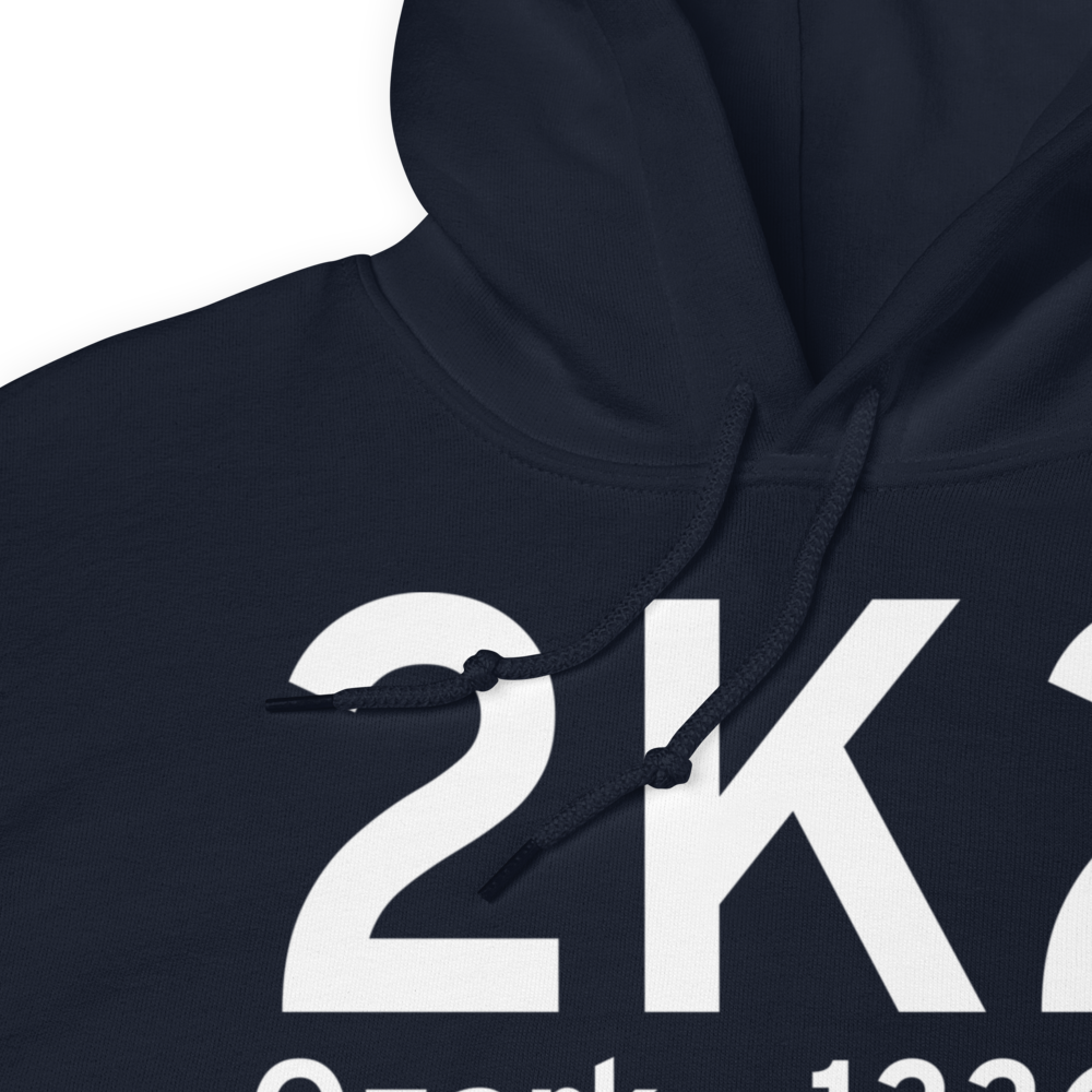 Ozark (2K2) Airport Hoodie Sweatshirt 