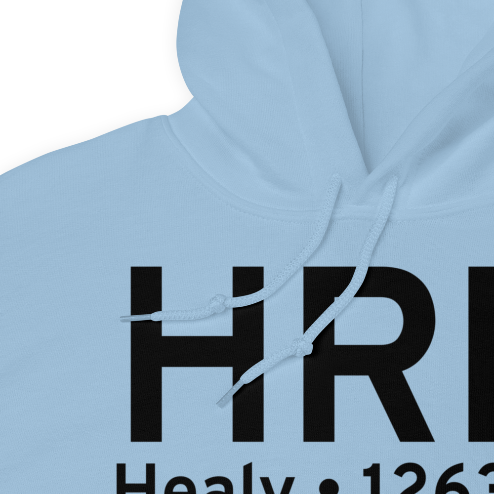 Healy (PAHV) Airport Hoodie Sweatshirt 