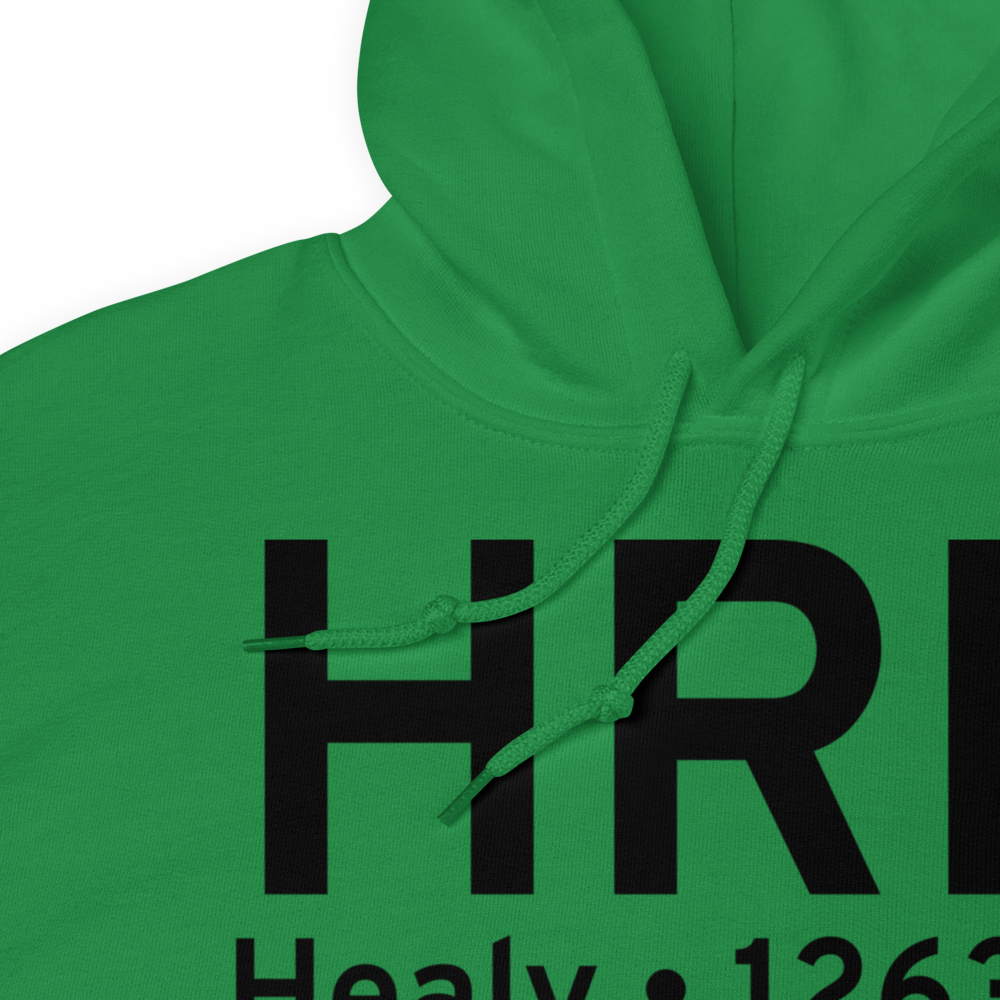 Healy (PAHV) Airport Hoodie Sweatshirt 