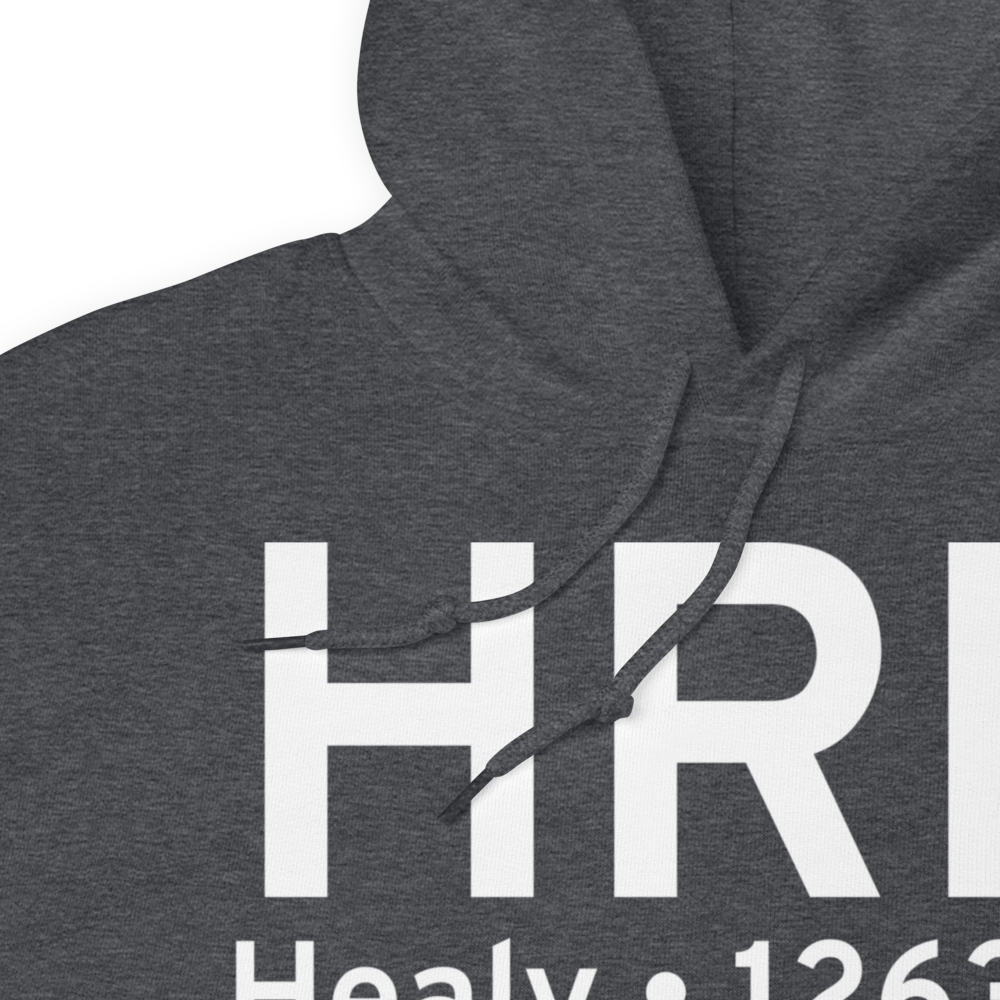 Healy (PAHV) Airport Hoodie Sweatshirt 