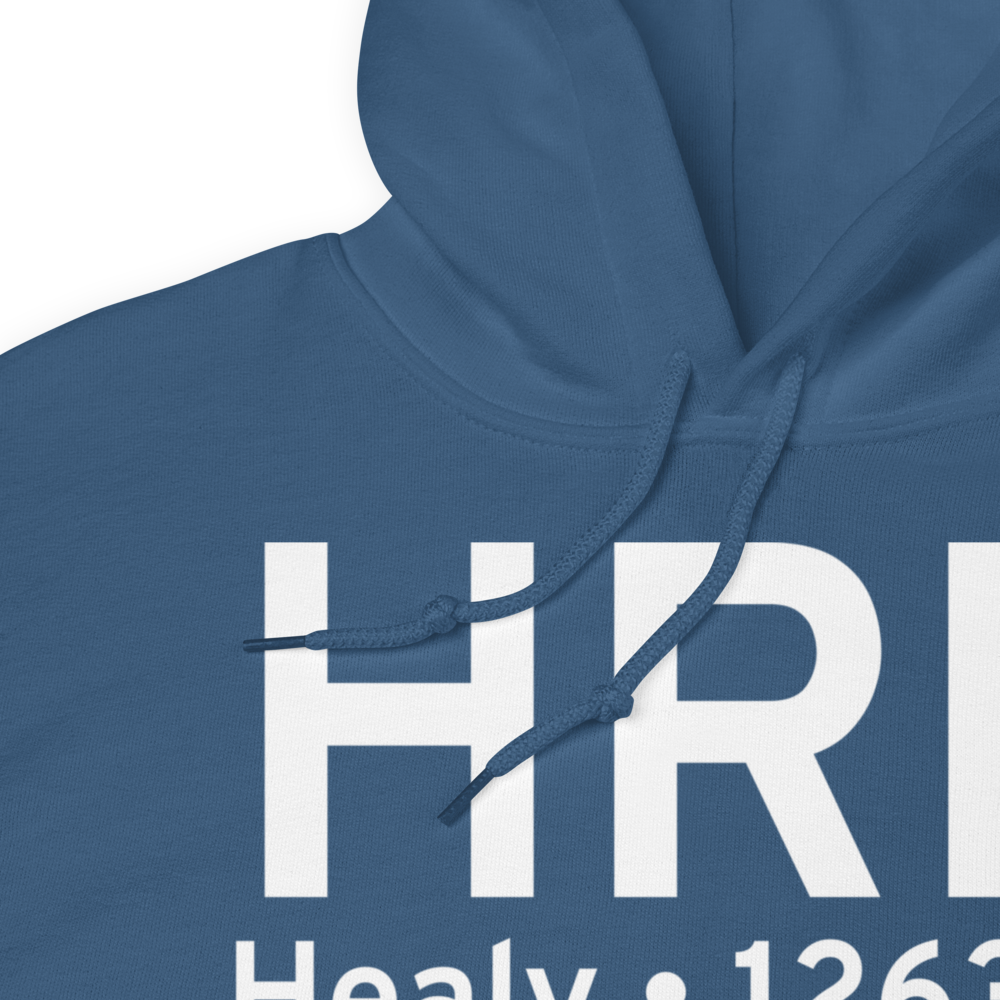 Healy (PAHV) Airport Hoodie Sweatshirt 