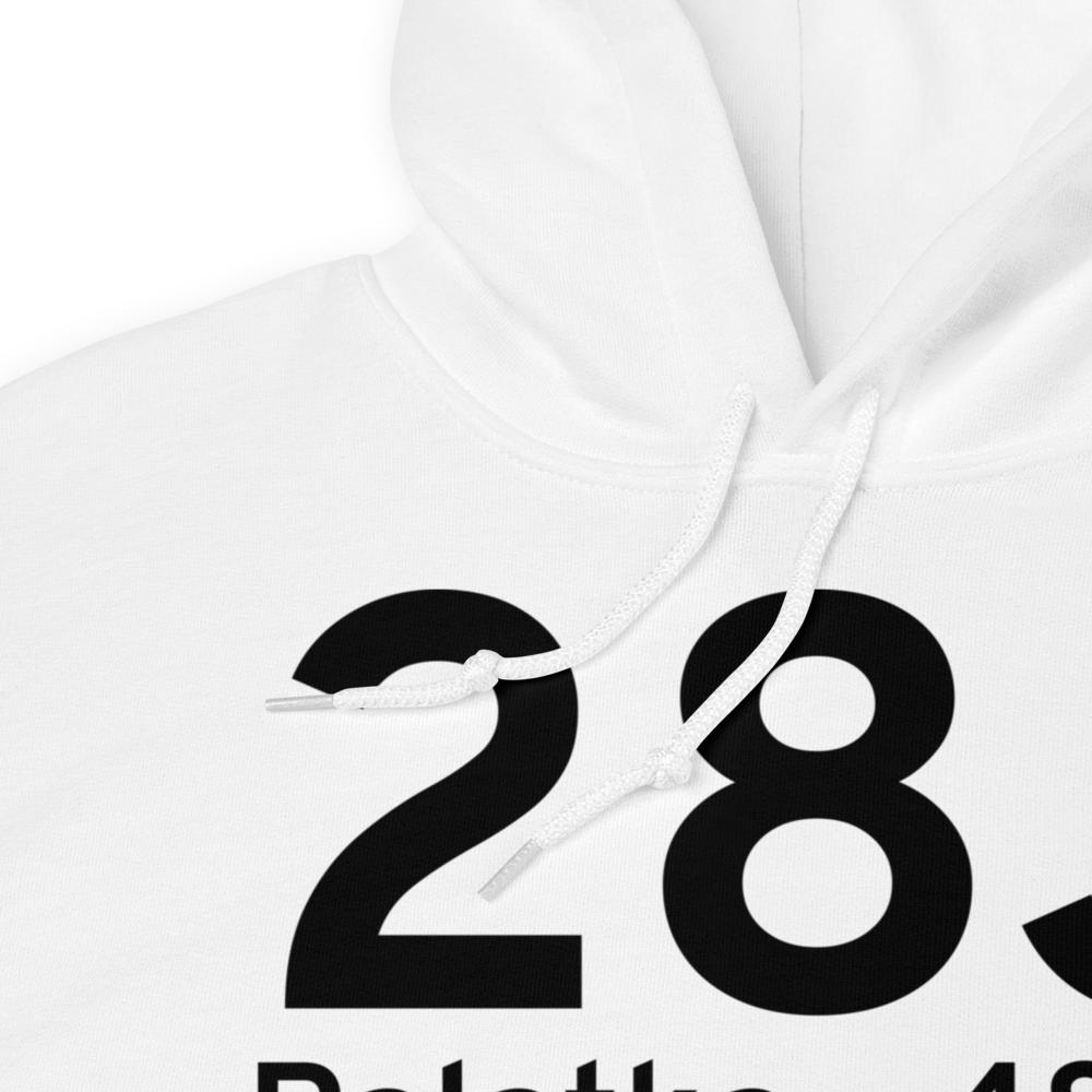 Palatka (K28J) Airport Hoodie Sweatshirt 