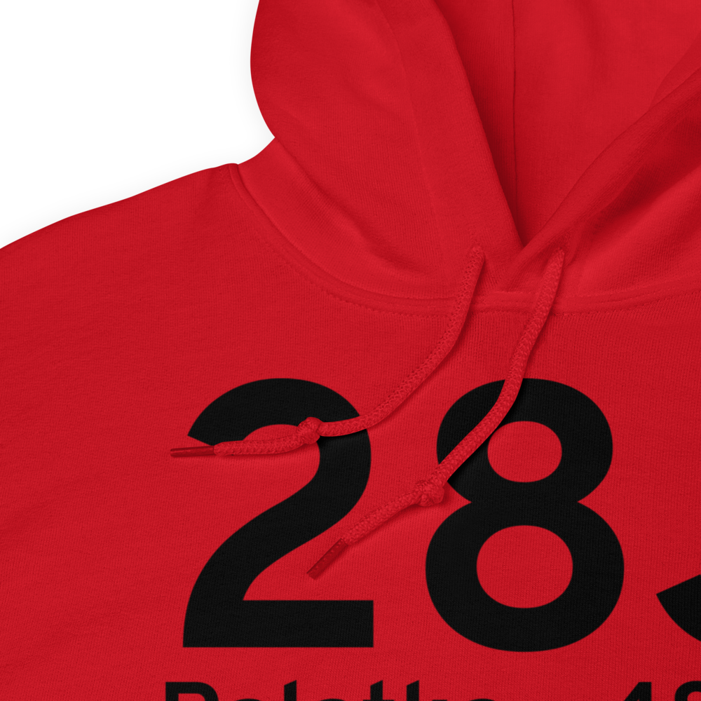 Palatka (K28J) Airport Hoodie Sweatshirt 
