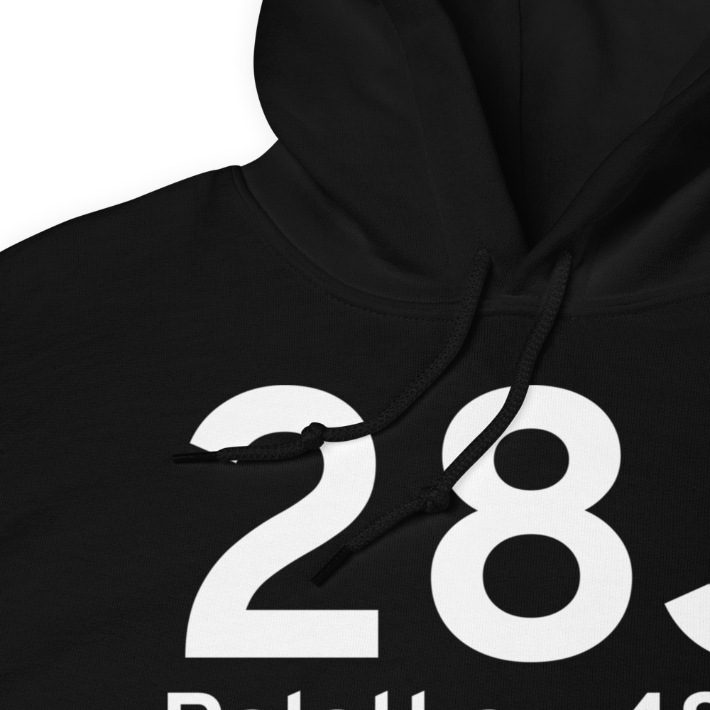 Palatka (K28J) Airport Hoodie Sweatshirt 