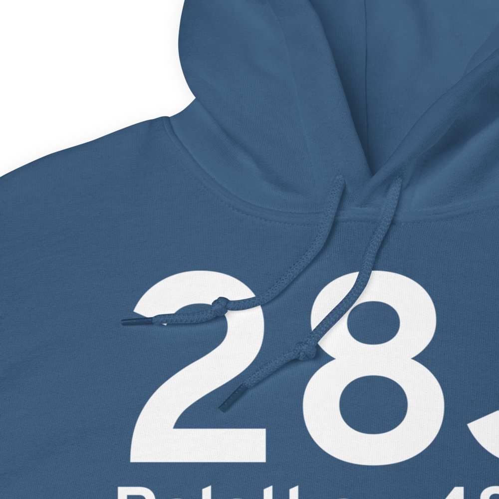 Palatka (K28J) Airport Hoodie Sweatshirt 