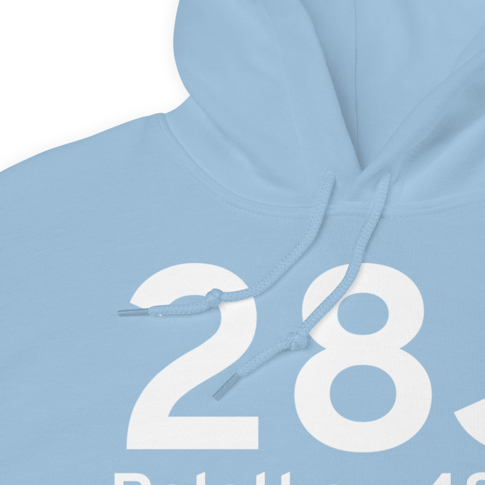 Palatka (K28J) Airport Hoodie Sweatshirt 