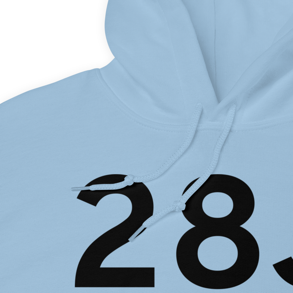 Palatka (K28J) Airport Hoodie Sweatshirt 