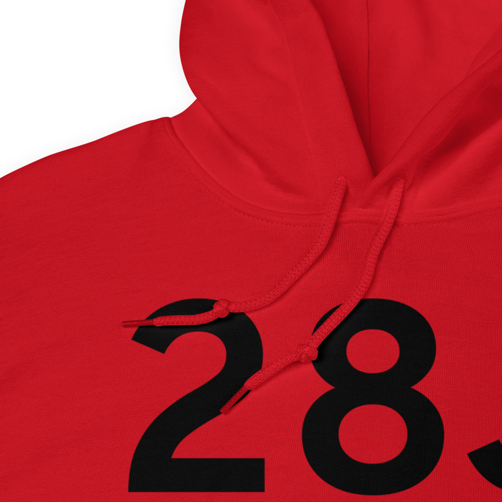 Palatka (K28J) Airport Hoodie Sweatshirt 