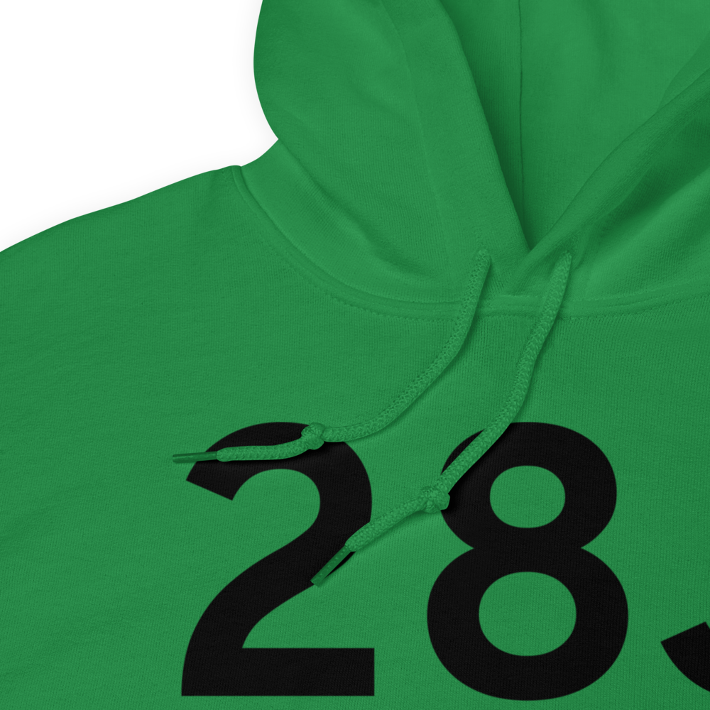 Palatka (K28J) Airport Hoodie Sweatshirt 