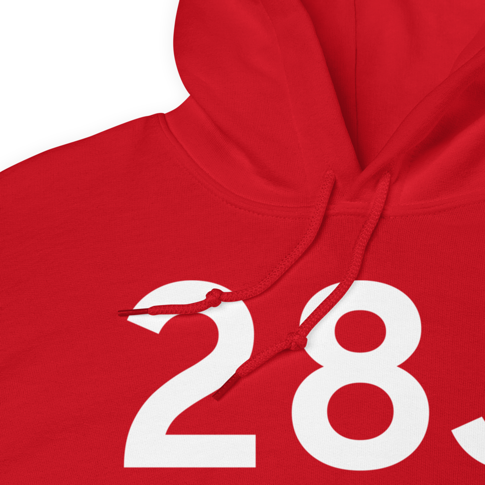 Palatka (K28J) Airport Hoodie Sweatshirt 