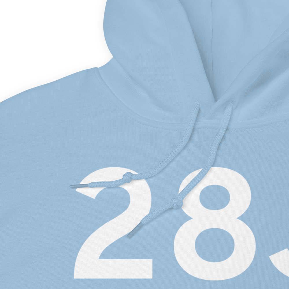 Palatka (K28J) Airport Hoodie Sweatshirt 