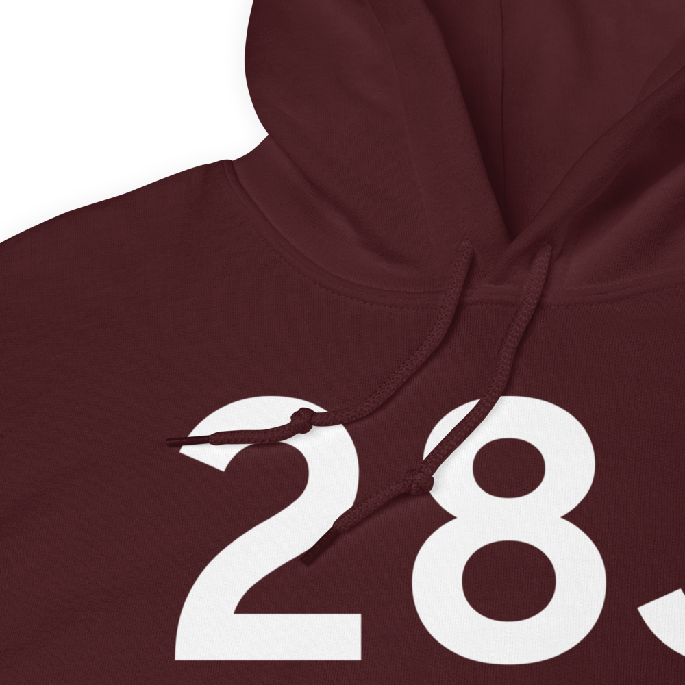 Palatka (K28J) Airport Hoodie Sweatshirt 
