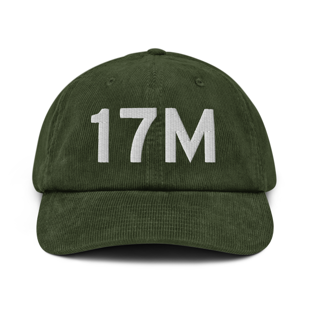 Magee (K17M) Airport Hat 