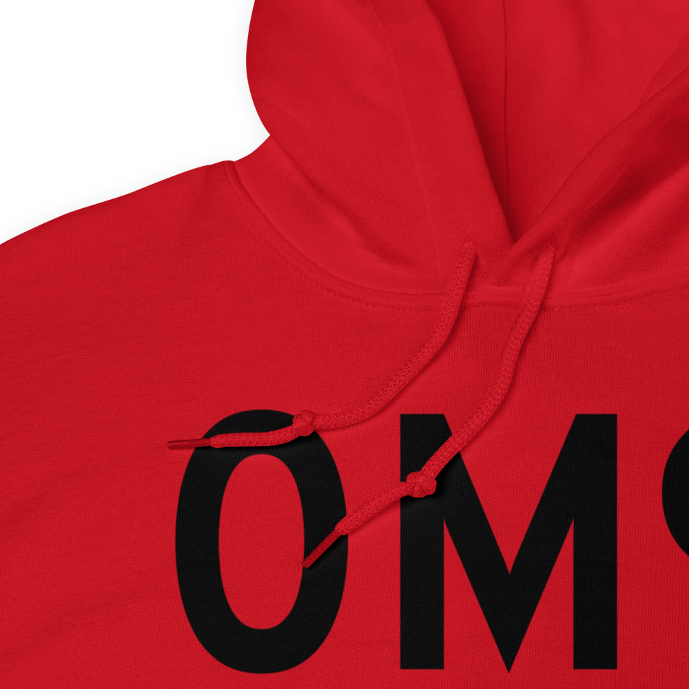 Delhi (K0M9) Airport Hoodie Sweatshirt 