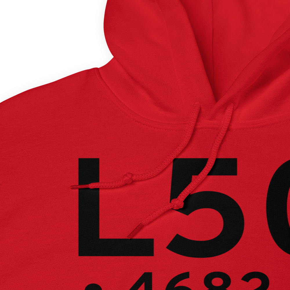  (US-0057) Airport Hoodie Sweatshirt 
