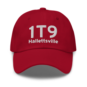 Hallettsville (1T9) Airport Hat