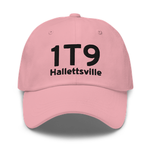 Hallettsville (1T9) Airport Hat