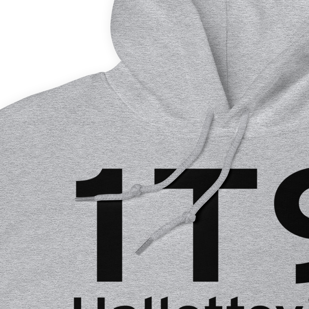 Hallettsville (1T9) Airport Hoodie Sweatshirt 