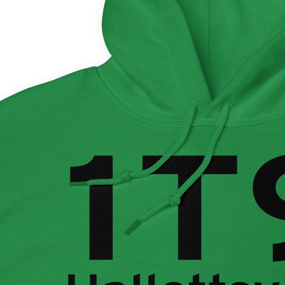 Hallettsville (1T9) Airport Hoodie Sweatshirt 