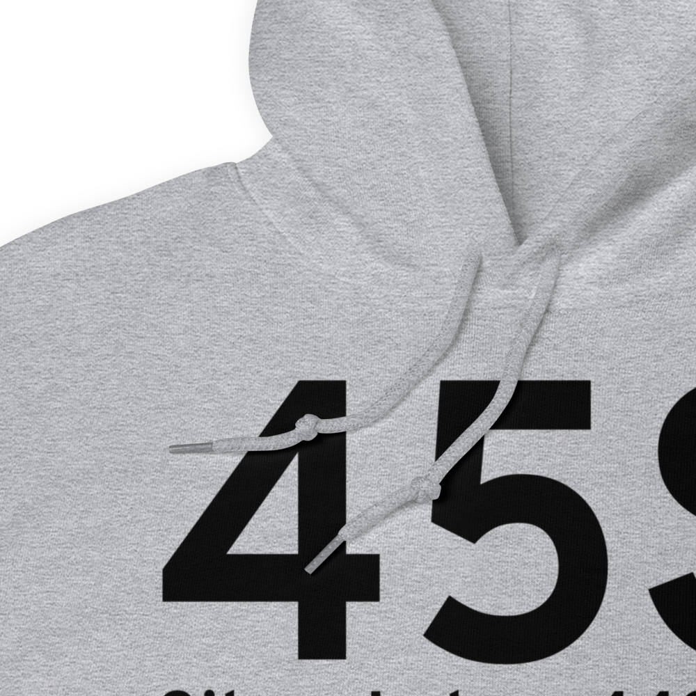 Silver Lake (45S) Airport Hoodie Sweatshirt 
