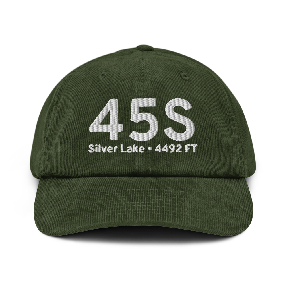 Silver Lake (45S) Airport Hat 