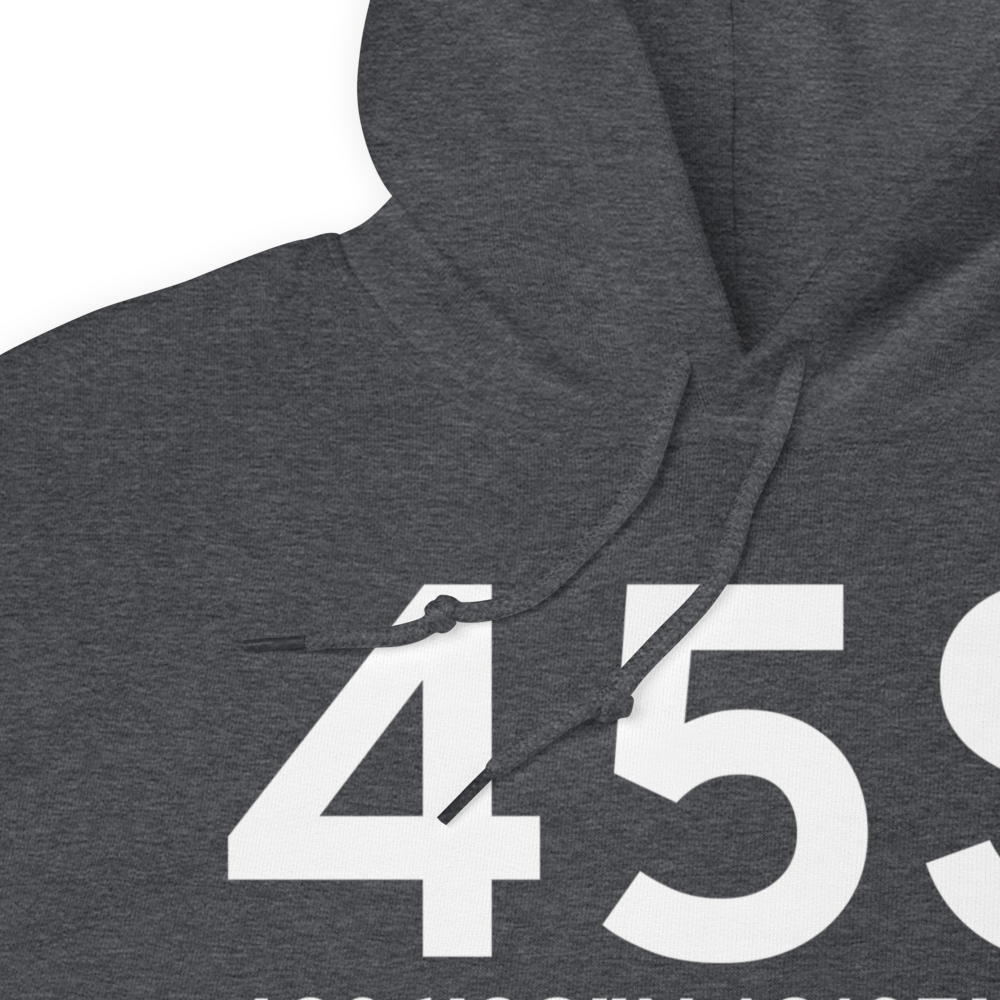 Silver Lake (45S) Airport Hoodie Sweatshirt 