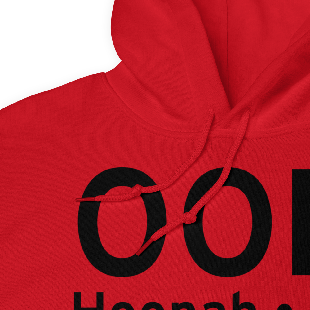 Hoonah (OOH) Airport Hoodie Sweatshirt 