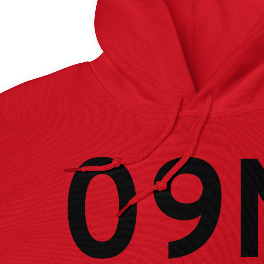 Staatsburg (09N) Airport Hoodie Sweatshirt 