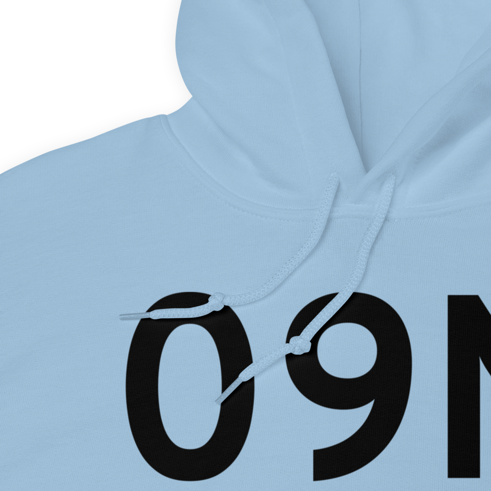 Staatsburg (09N) Airport Hoodie Sweatshirt 