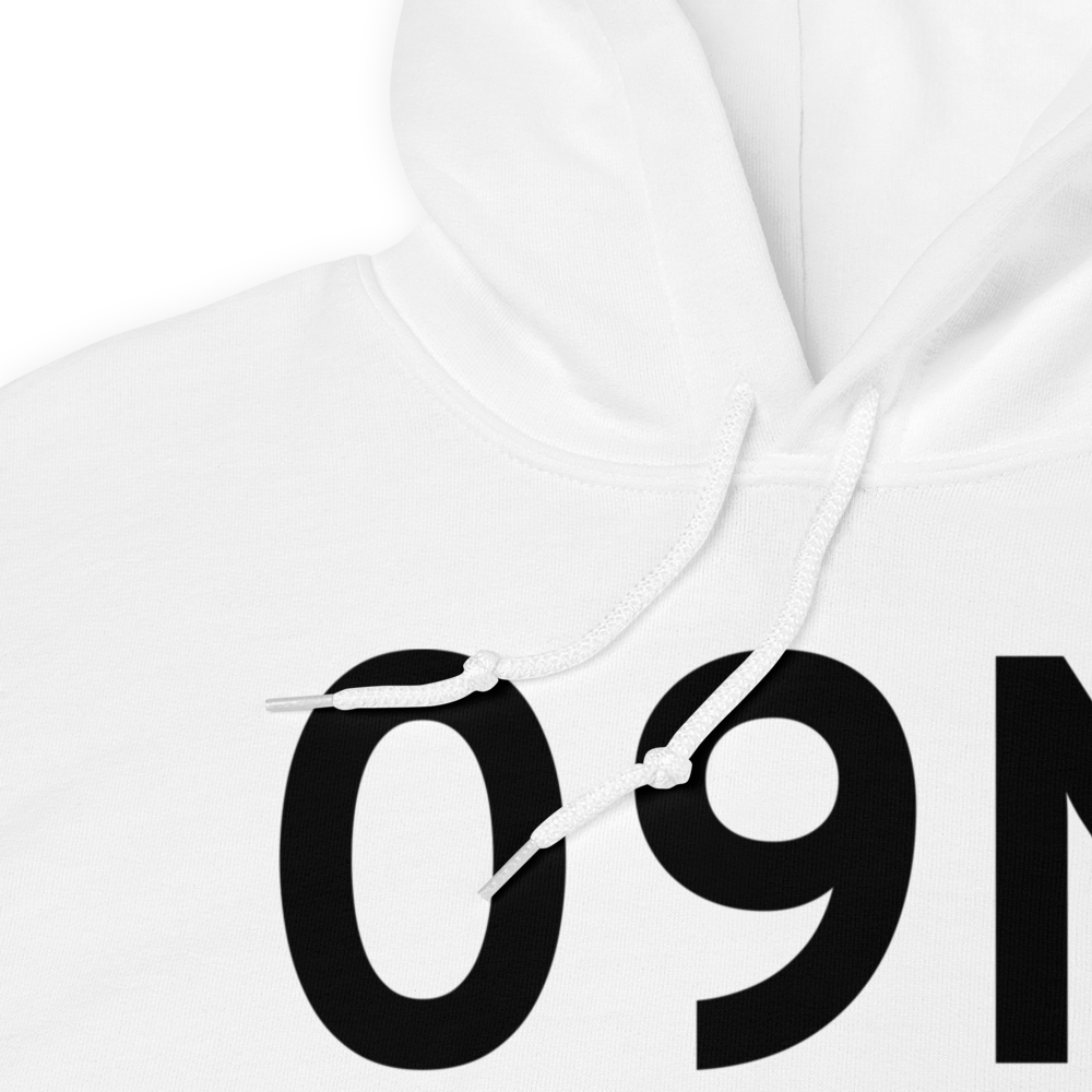 Staatsburg (09N) Airport Hoodie Sweatshirt 