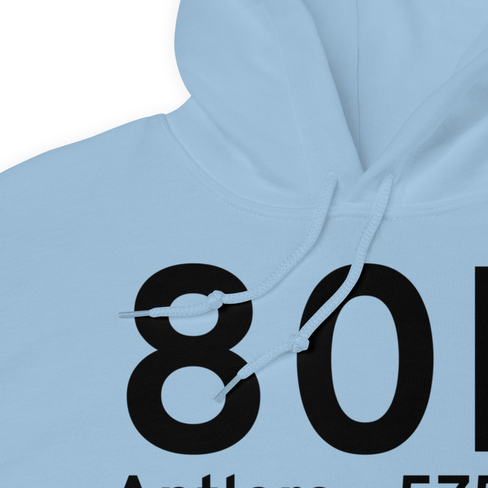 Antlers (K80F) Airport Hoodie Sweatshirt 