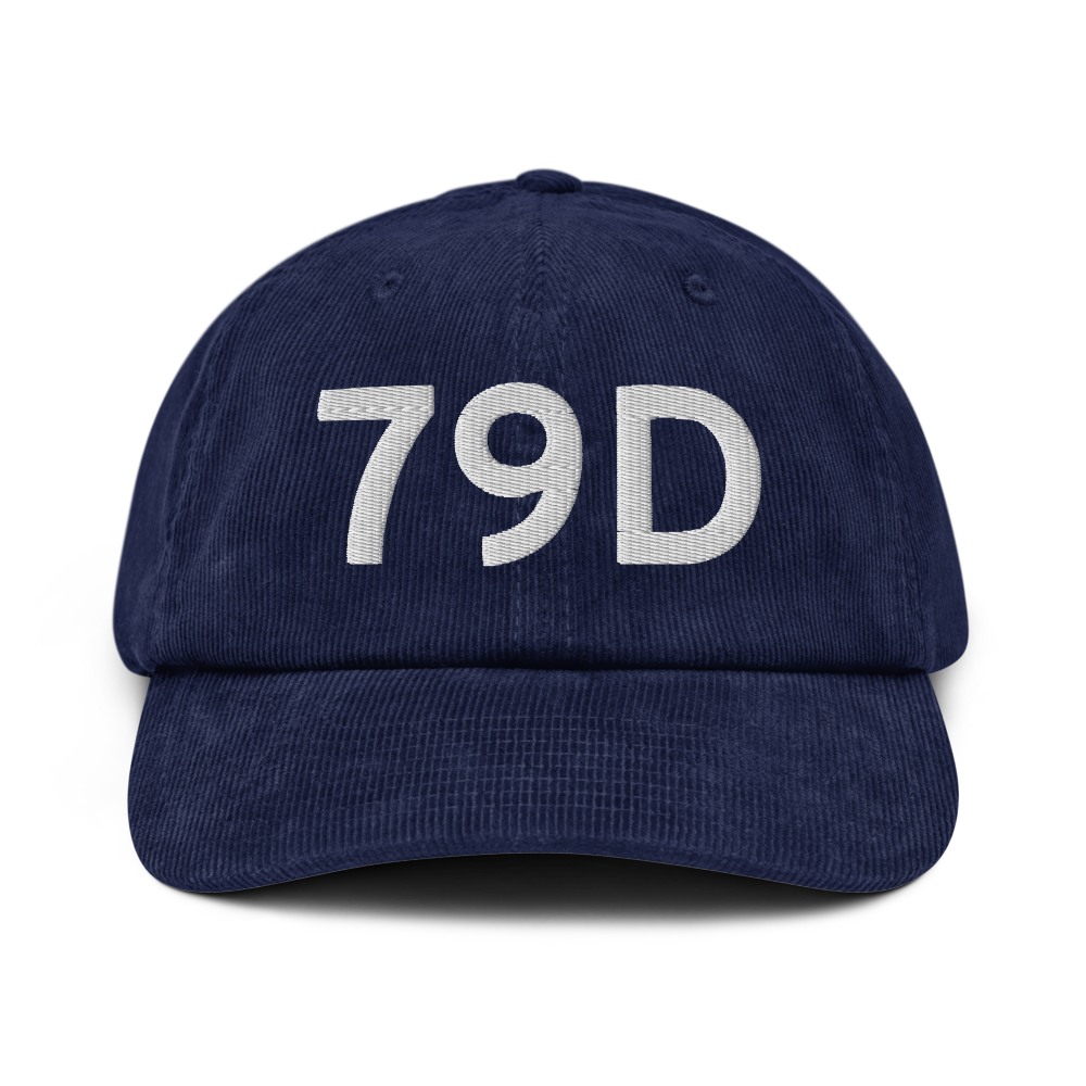 Philippi (K79D) Airport Hat 