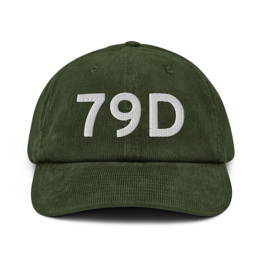 Philippi (K79D) Airport Hat 