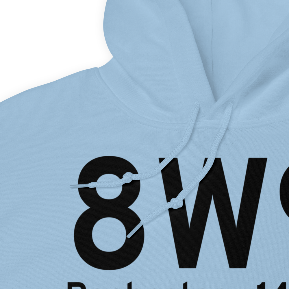 Rochester (8W9) Airport Hoodie Sweatshirt 