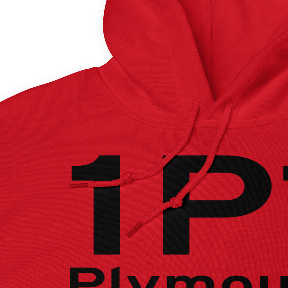 Plymouth (1P1) Airport Hoodie Sweatshirt 