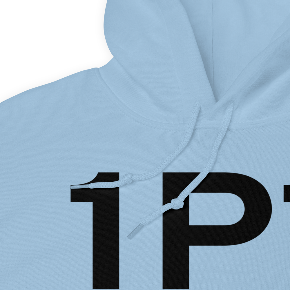 Plymouth (1P1) Airport Hoodie Sweatshirt 