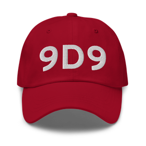 Hastings (K9D9) Airport Hat