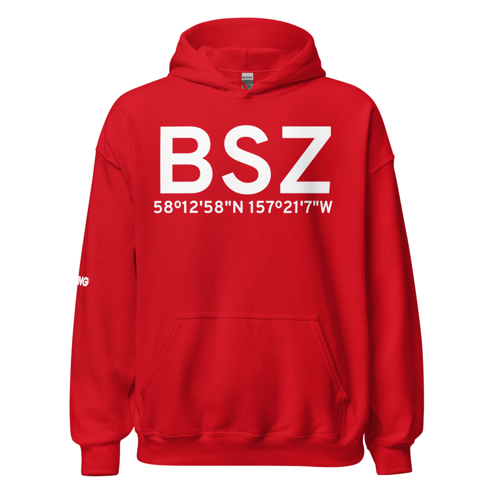 Egegik (AK96) Airport Hoodie Sweatshirt 