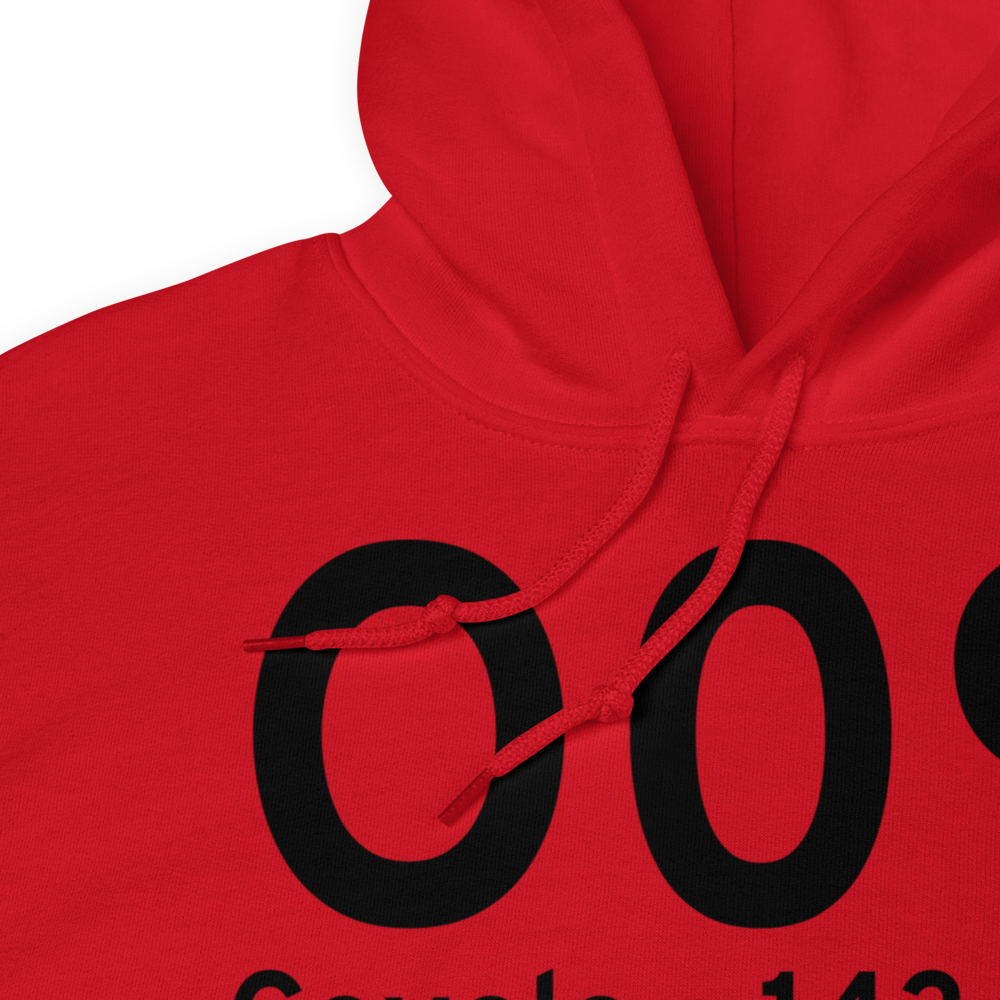 Covelo (KO09) Airport Hoodie Sweatshirt 