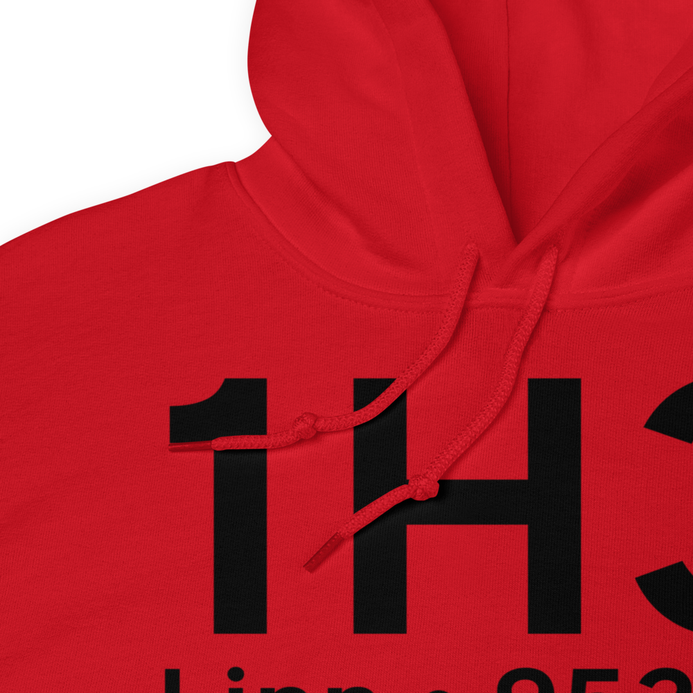 Linn (K1H3) Airport Hoodie Sweatshirt 